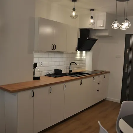 Malinowka Izerska Apartment Swieradow-Zdroj Exterior photo